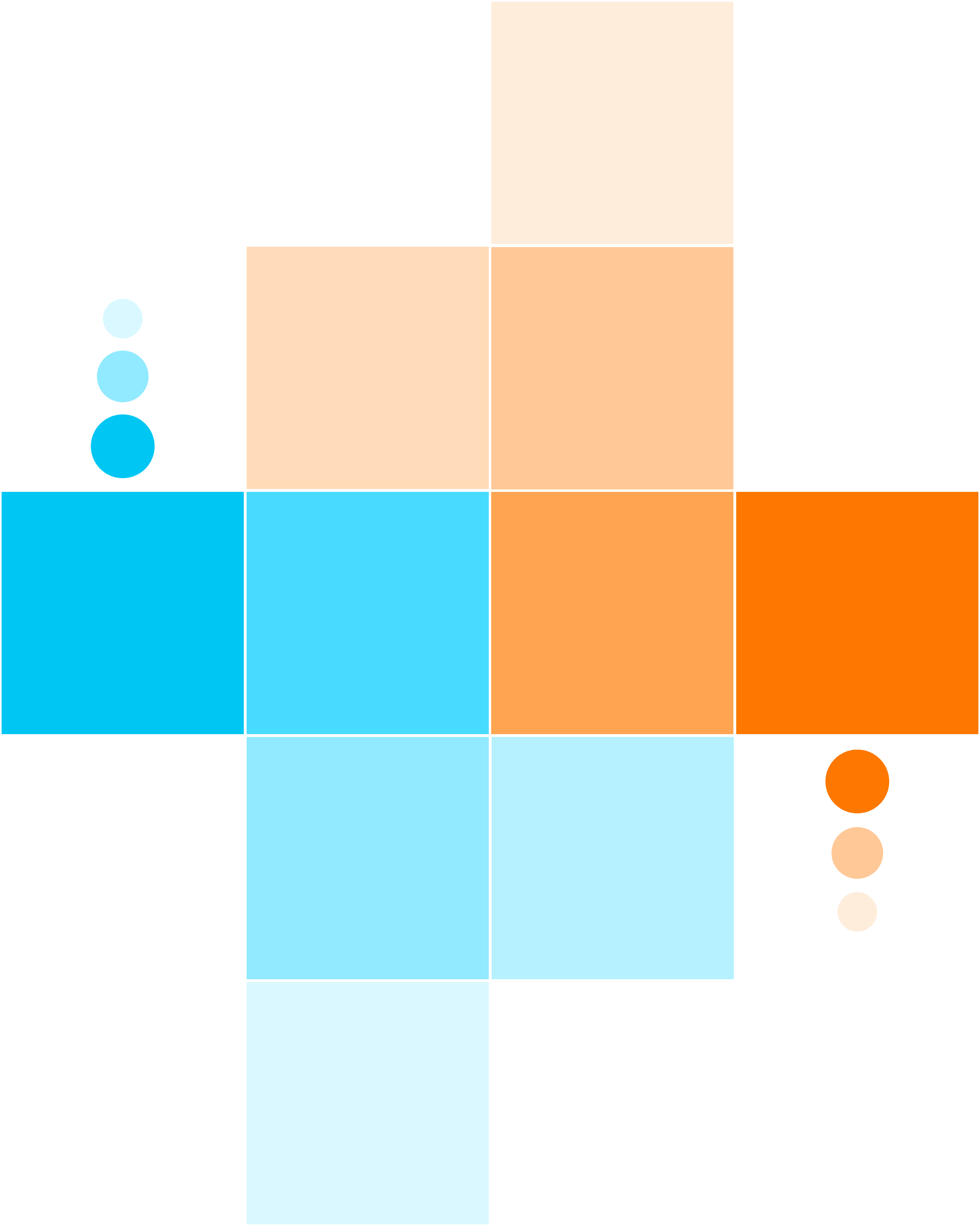GLOBAL BSERVE