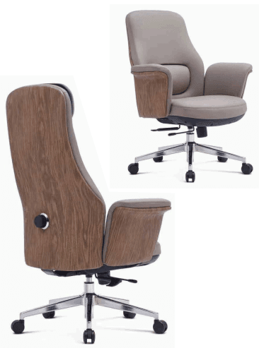 Astra Executive Office Chair