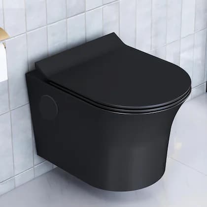 Black western toilet