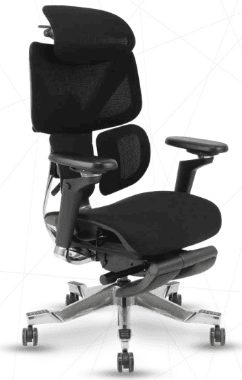 Black Mesh Ergonomic Office Chair