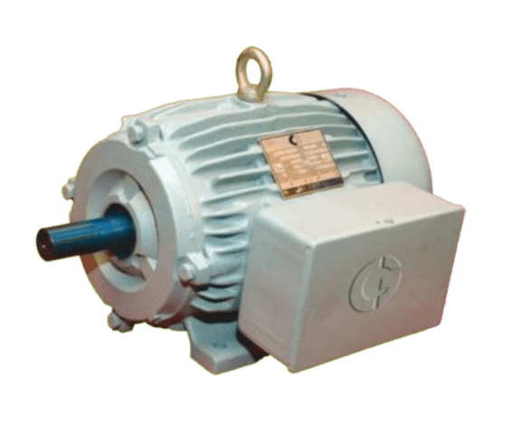 Crompton CG Rhino Series Single Phase Motor