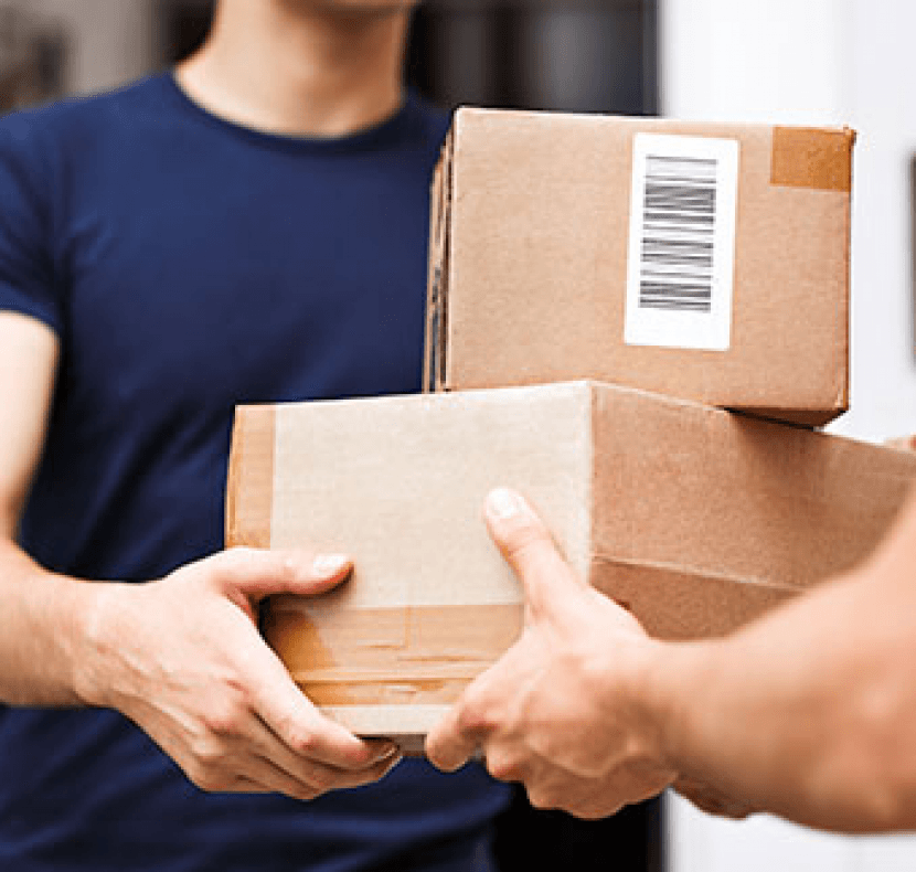 Domestic Courier Services