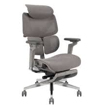 Ergonomic Mesh Chairs
