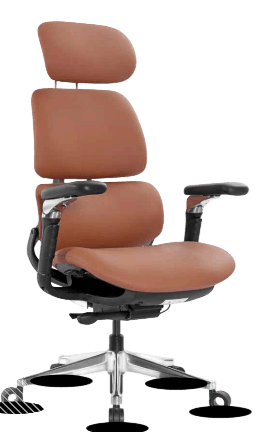 Eureka Ergonomic Executive Office Chair