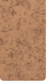 Gold Dust Decorative Wall Panel
