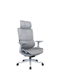 High-Back Ergonomic Office Chair