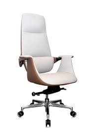 High-Back Executive Office Chair