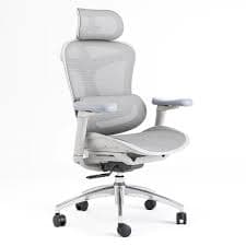 High-End Ergonomic Office Chair