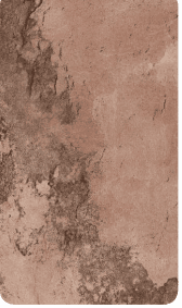 Jaipur Pink Decorative Wall Panel