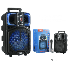 MZ Portable Bluetooth Karaoke Speaker