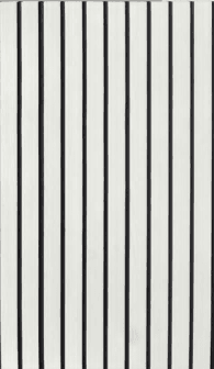 Modern White Fluted Decorative Wall Panel with Black Groove Lines