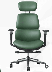 Olive executive office chair