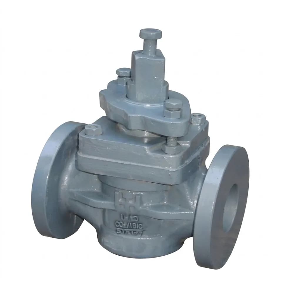 Plug Valve