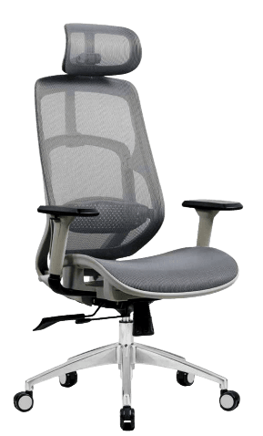 Polo Ergonomic High Back Mesh Office Chair