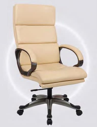 Revolving Chair