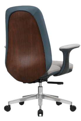 Sleek Ergonomic Office Chair