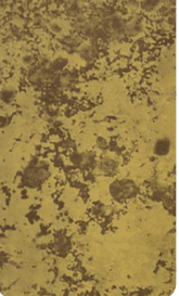 Tarnished Brass Decorative Wall Panel