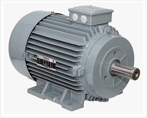Three - Phase Electric Motor