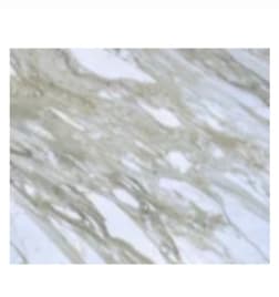 White Marble